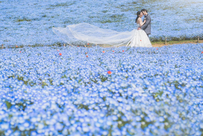 都内では決して撮れない世界