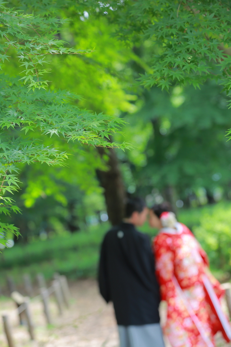 もみじも綺麗♪