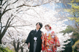 桜の季節になりました♫