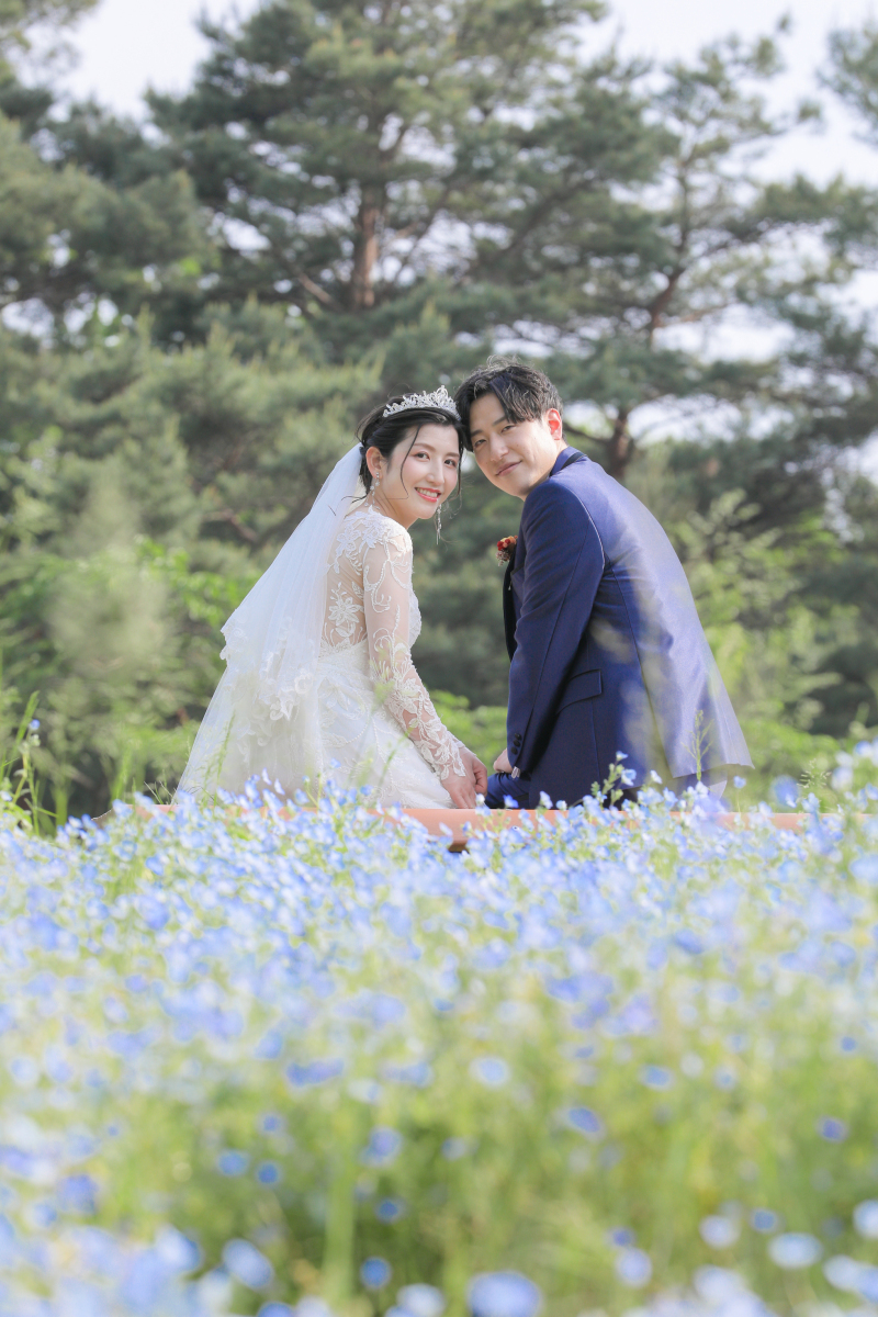 ネモフィラも残ってました！