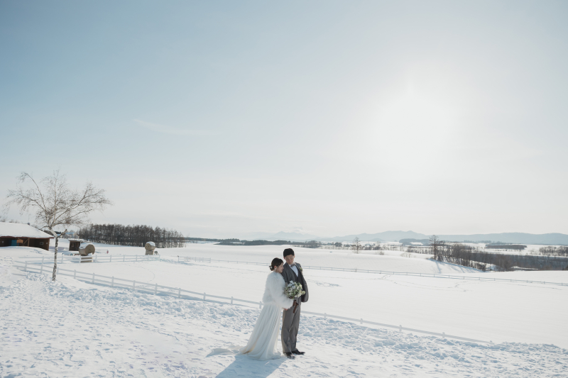 北海道で雪景色の撮影