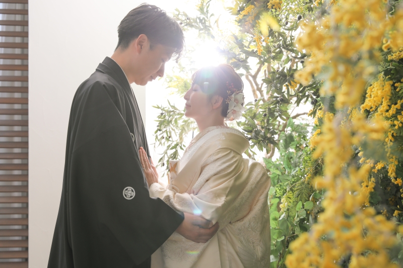 逆光でふわっと