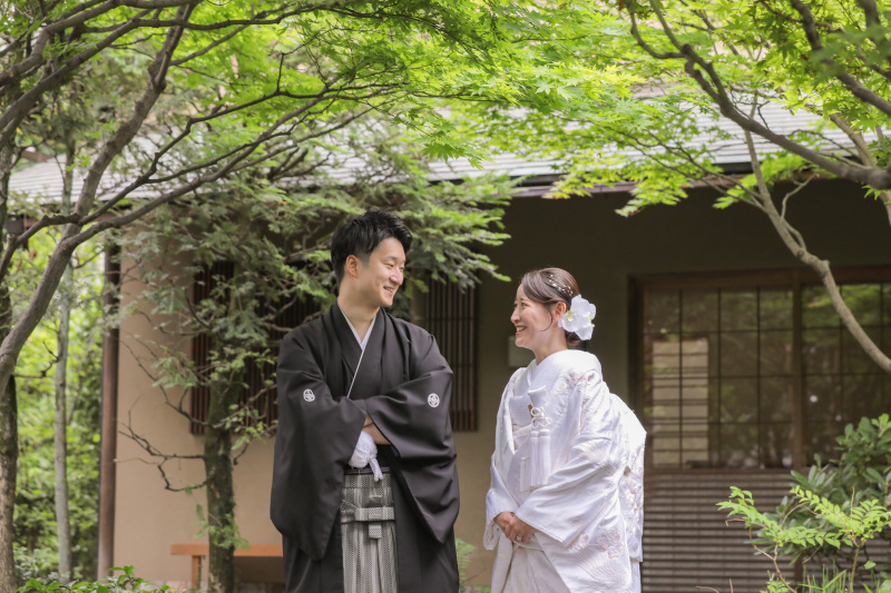 新緑が綺麗な時期