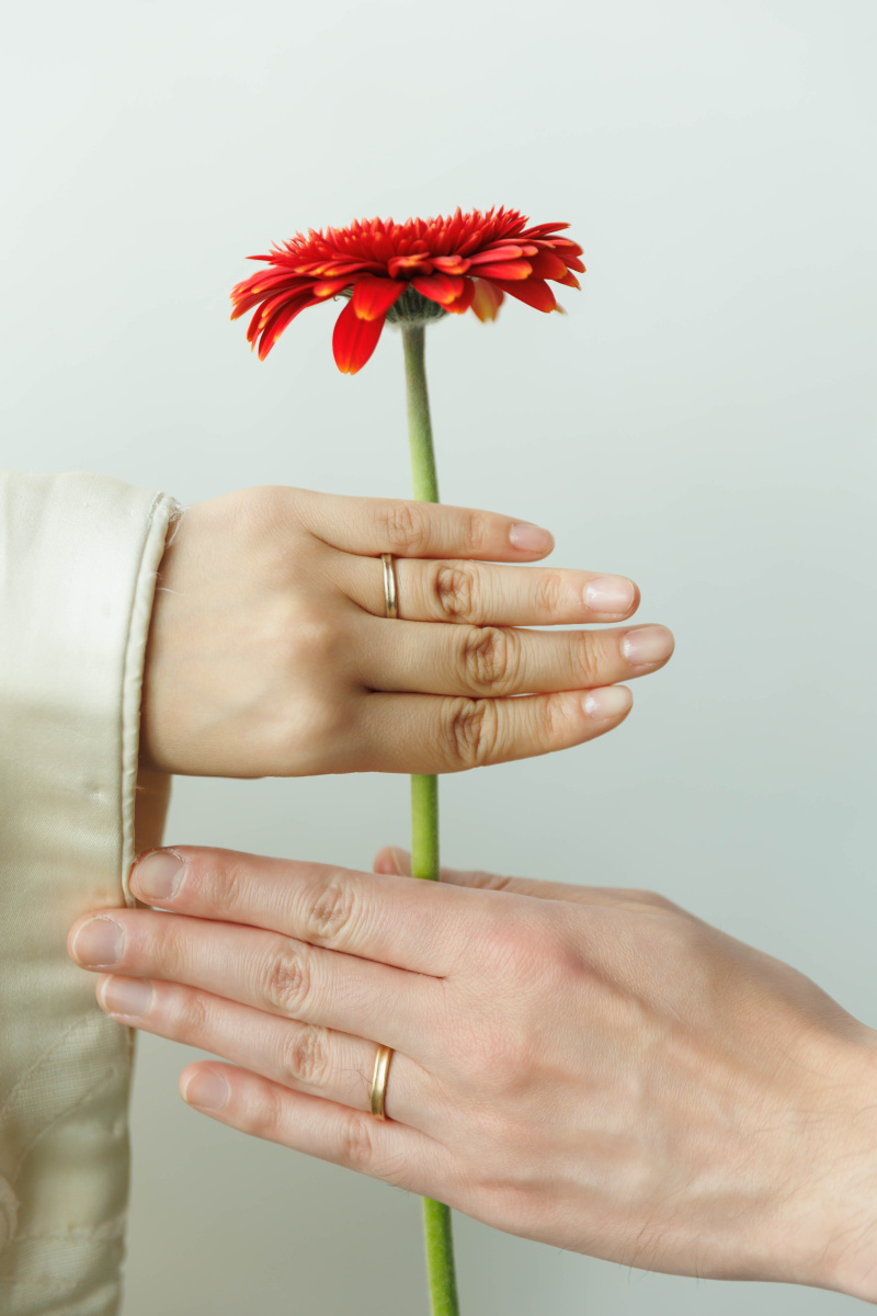 お手元とガーベラ