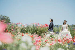 昭和記念公園、新緑シーズン