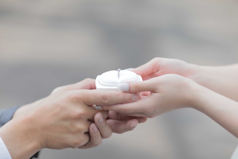 イメージカットとして