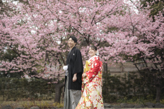 富士和装周遊　河津桜