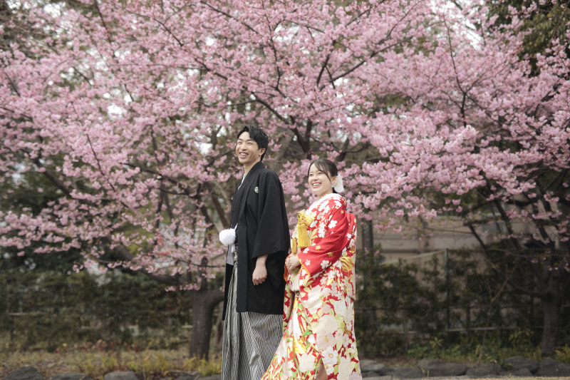 富士和装周遊 河津桜