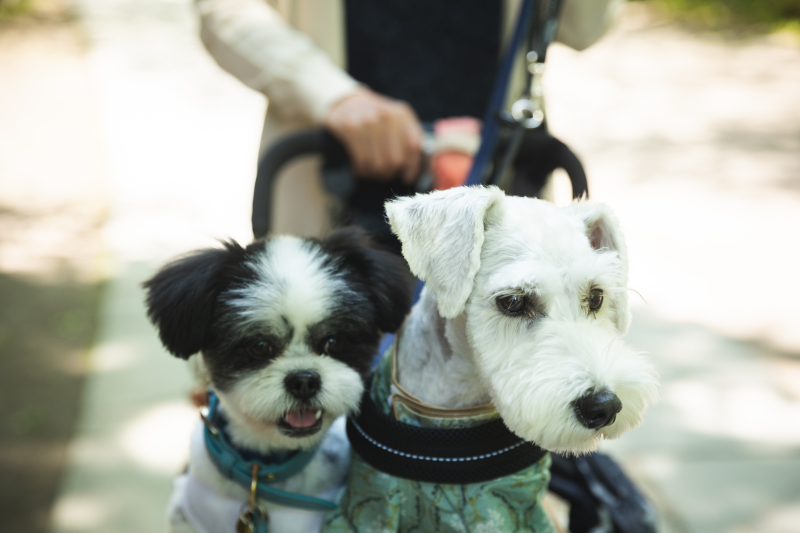 ご家族様との撮影も☆