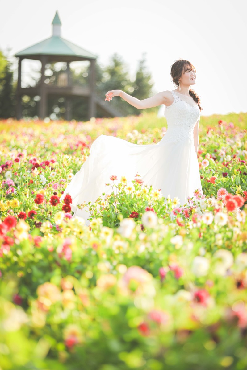 色とりどりのダリアと一緒に。