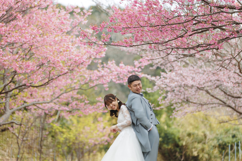 背中を合わせて