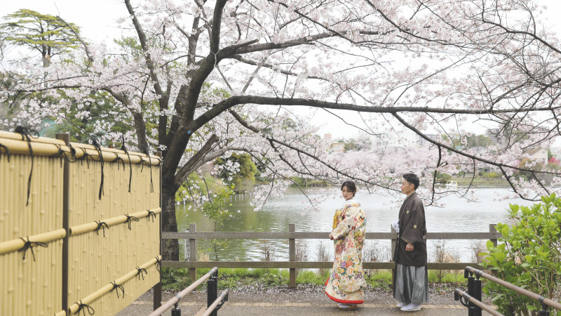 桜がとても綺麗な洗足池に行ってきました。