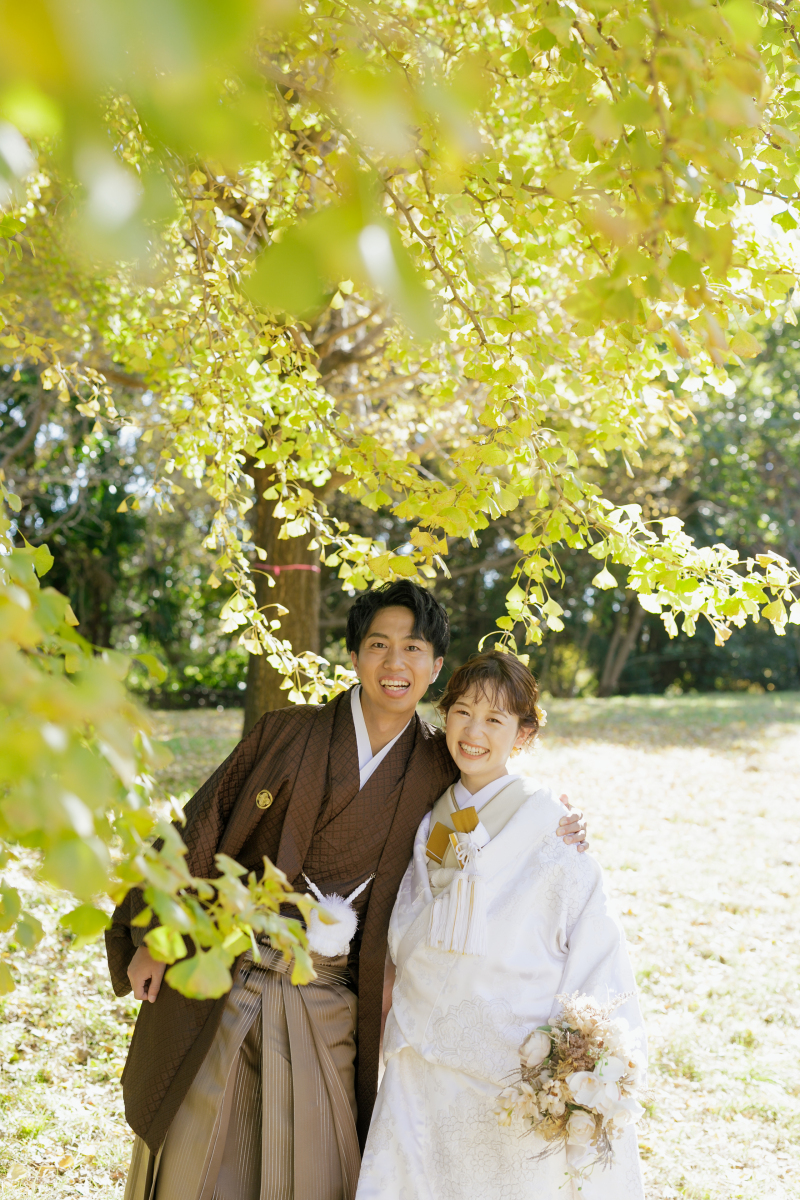 銀杏に囲まれて