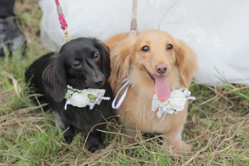 ツーショット♡