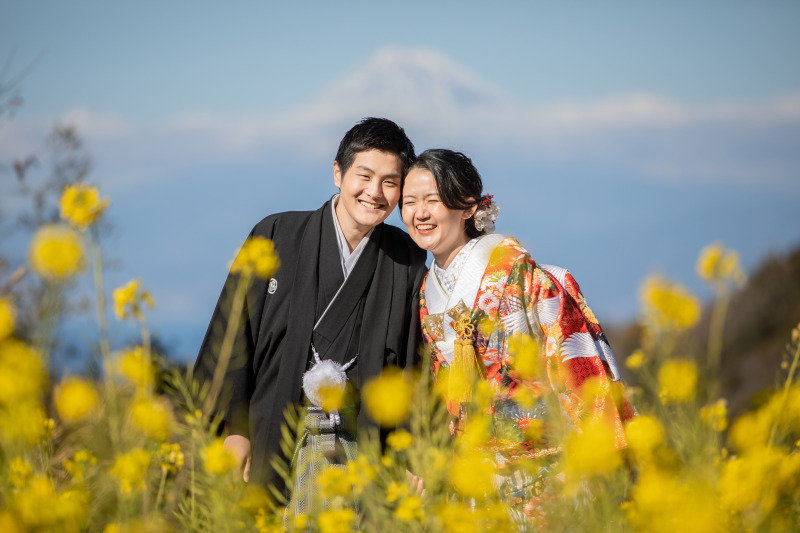 菜の花と富士山