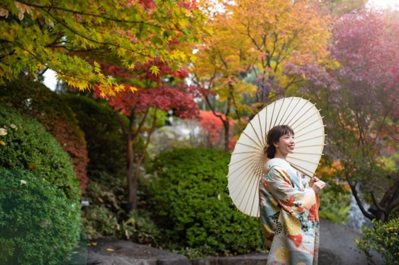 赤に黄色に綺麗な紅葉が待ってました！