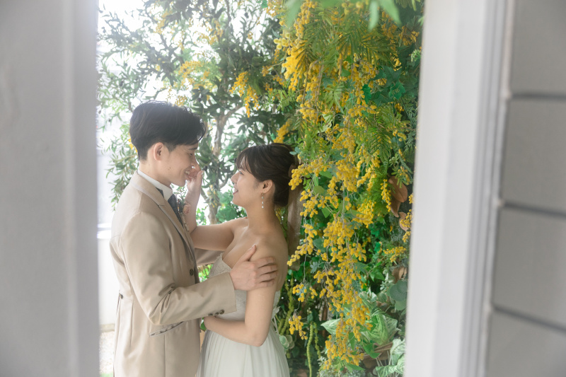 ミモザの中でも