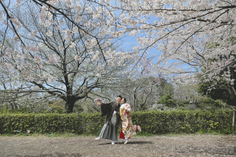 桜の絨毯みたいになっていて
