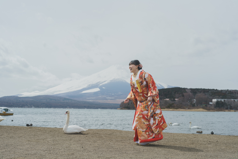 白鳥に出会えて。