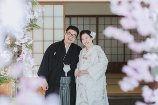 桜咲くスタジオ