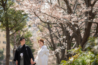 桜ロケーション