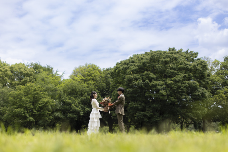 今は新緑が綺麗