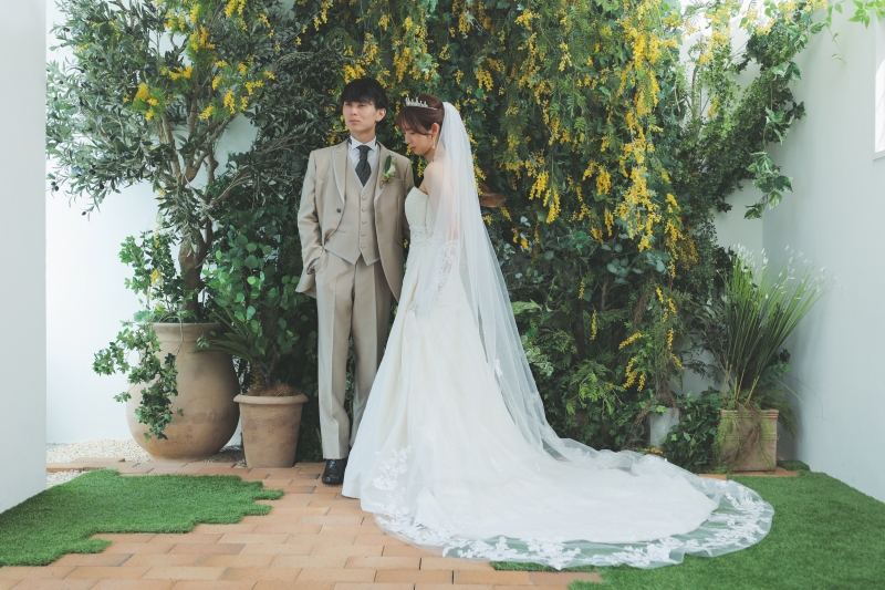 ロングベール×ミモザ