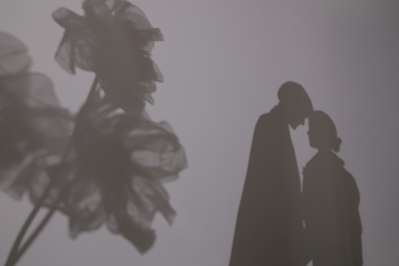 光と影と花と二人と