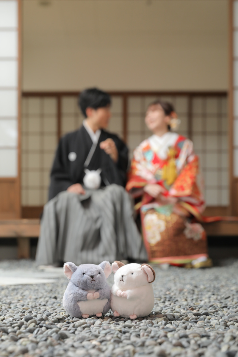 チンチラと一緒に