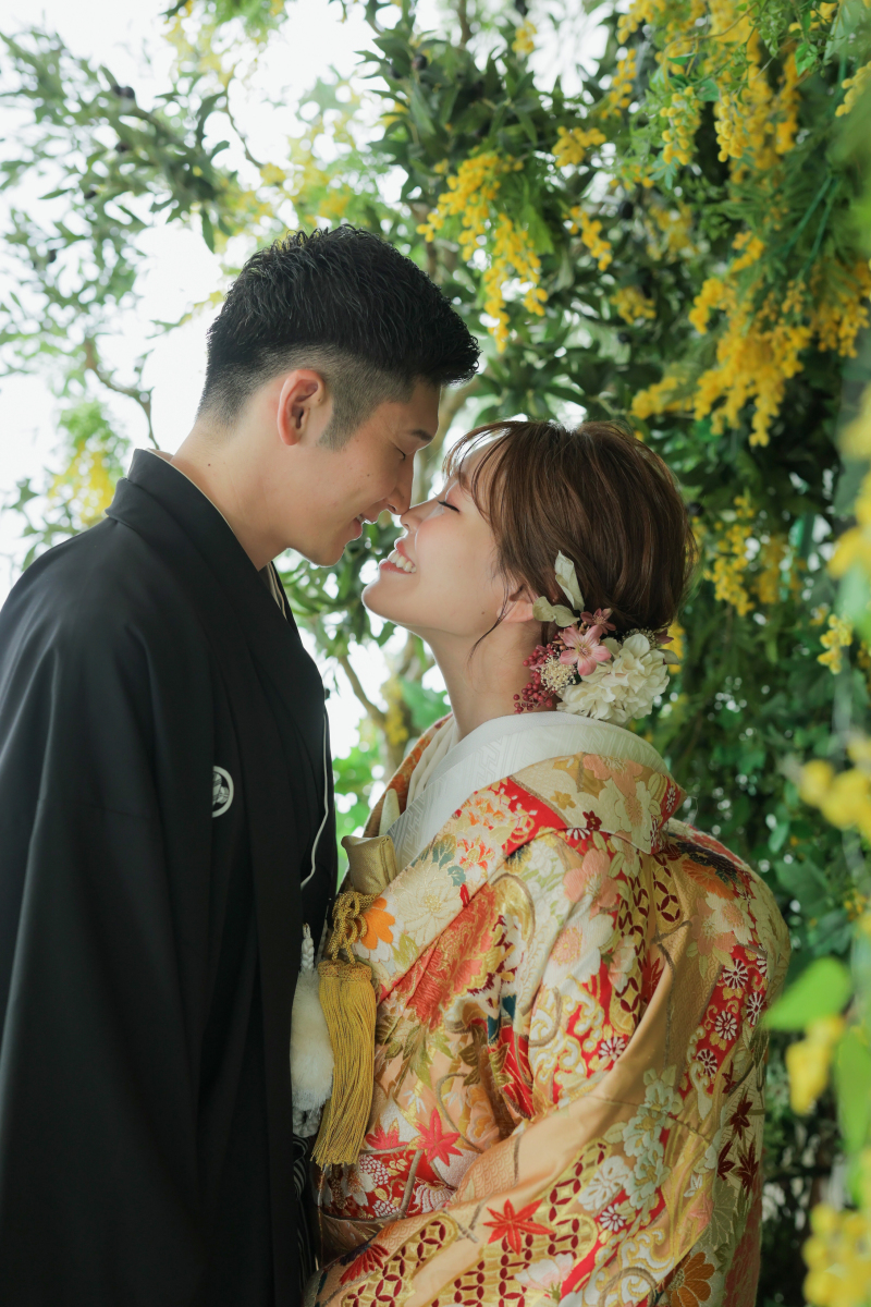 ミモザに囲まれて