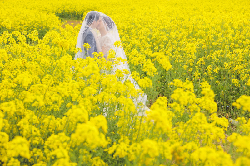 そして菜の花。