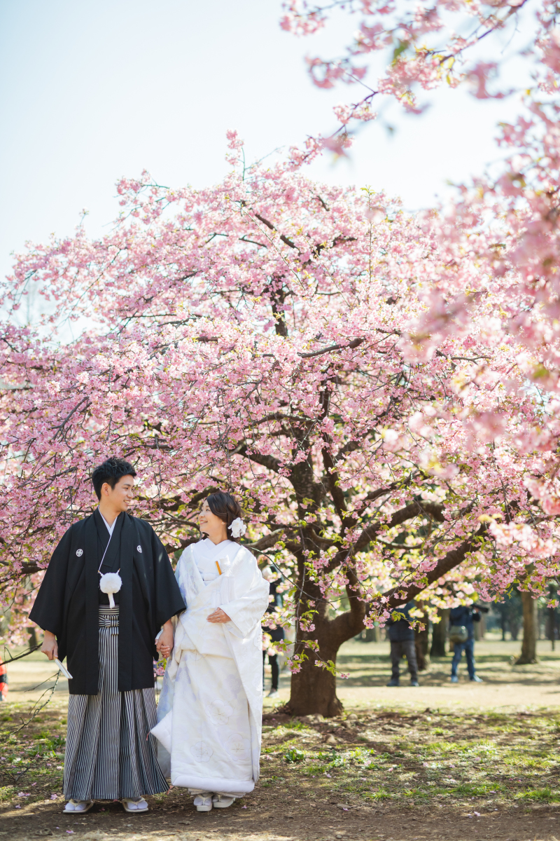 代々木公園の河津桜