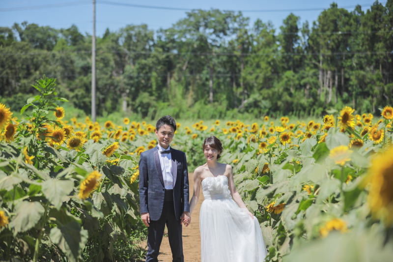 ひまわりに囲まれて♪