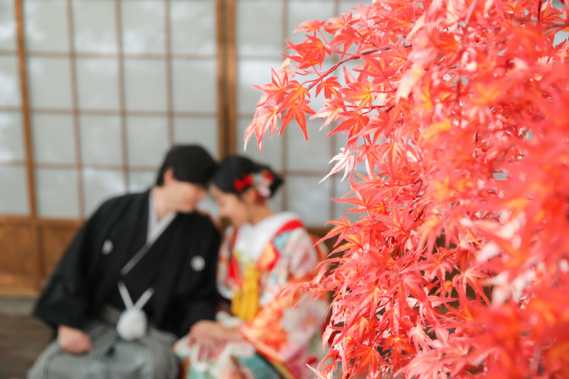 紅葉