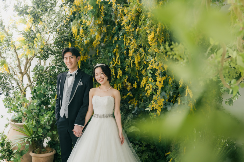 ミモザ&times;グリーン