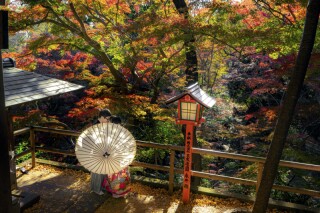 紅葉シーズン到来