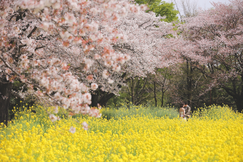 まるで2人だけの空間のような一枚、、