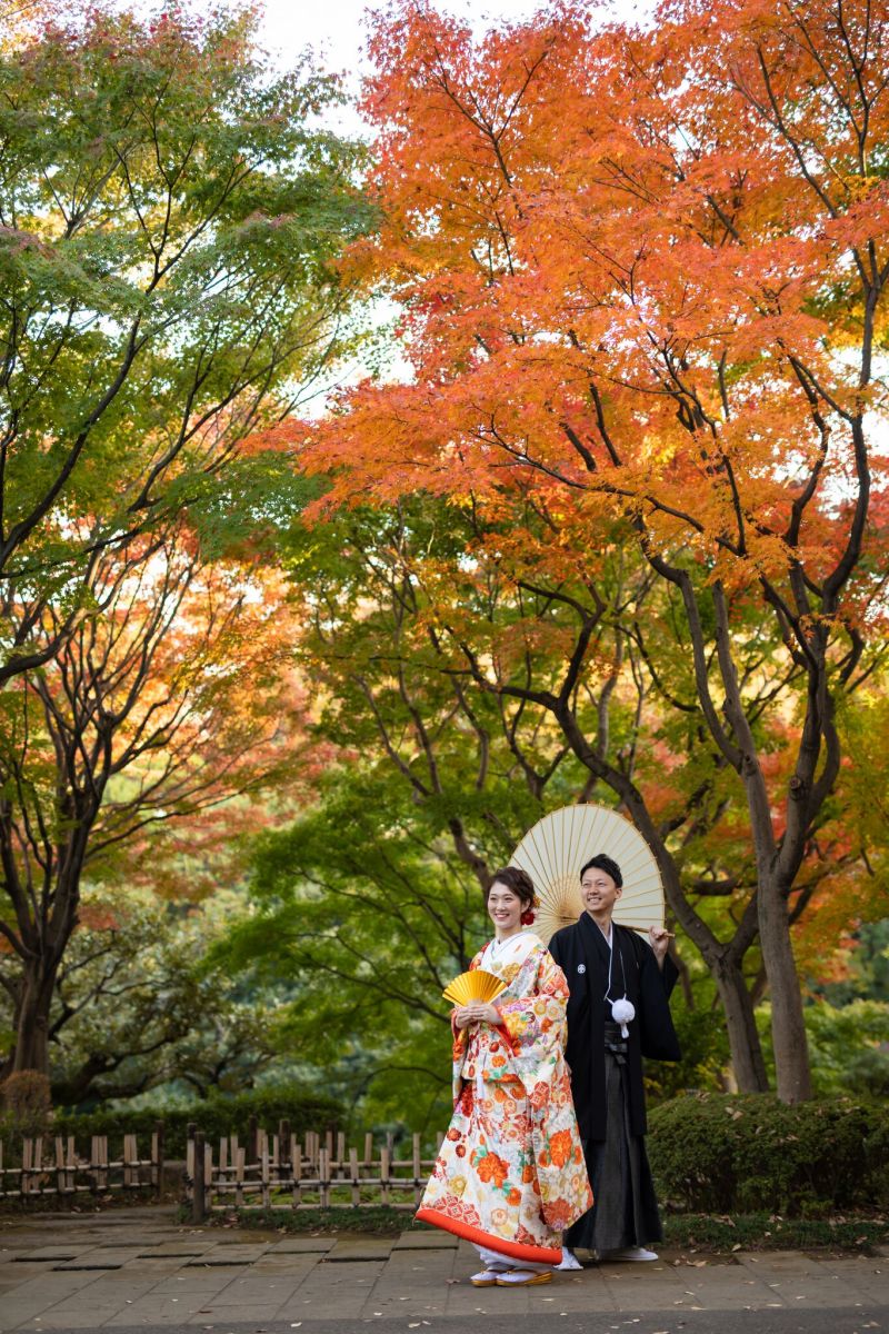 いい日になりました