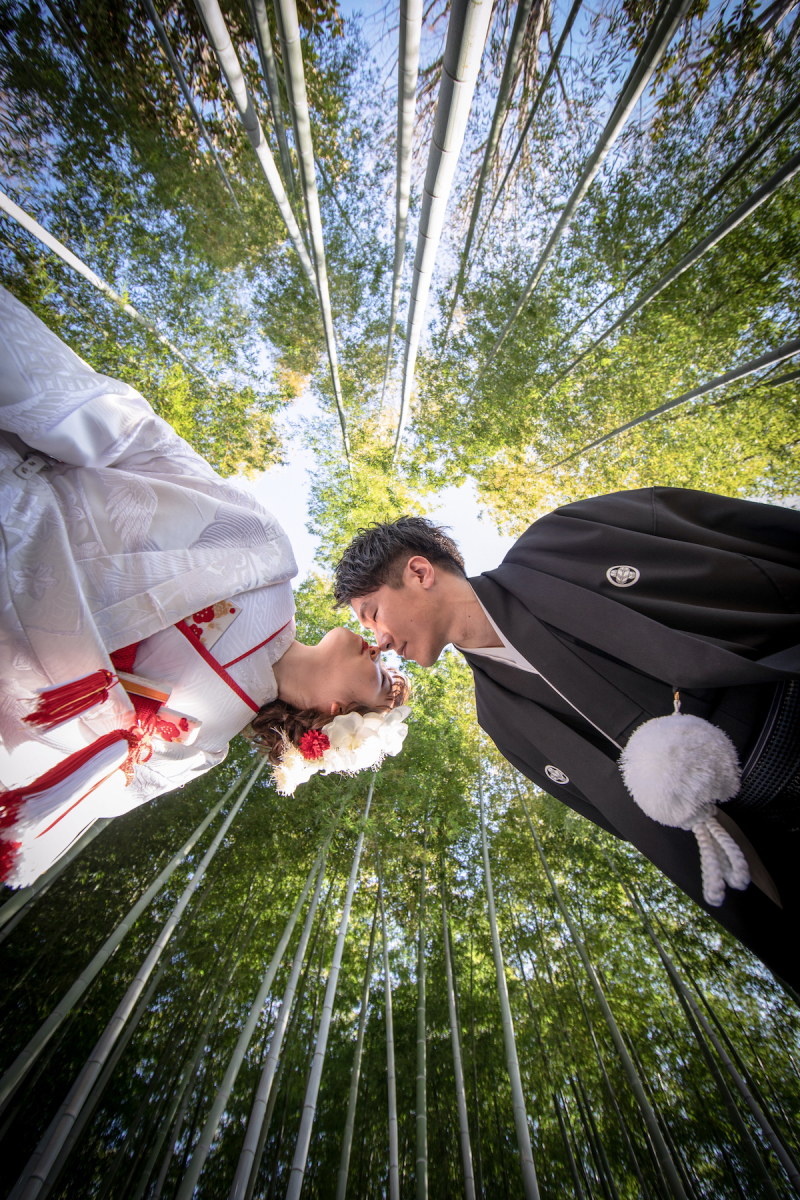 竹の美しい蘆花恒春園