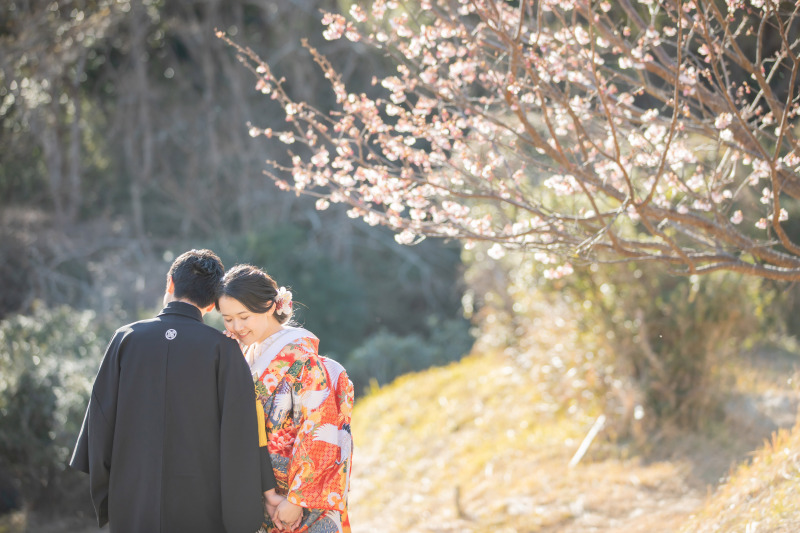 ふんわりとした光