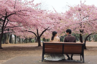 桜シーズン始まりました。