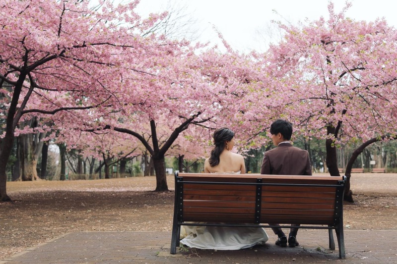 桜シーズン始まりました。