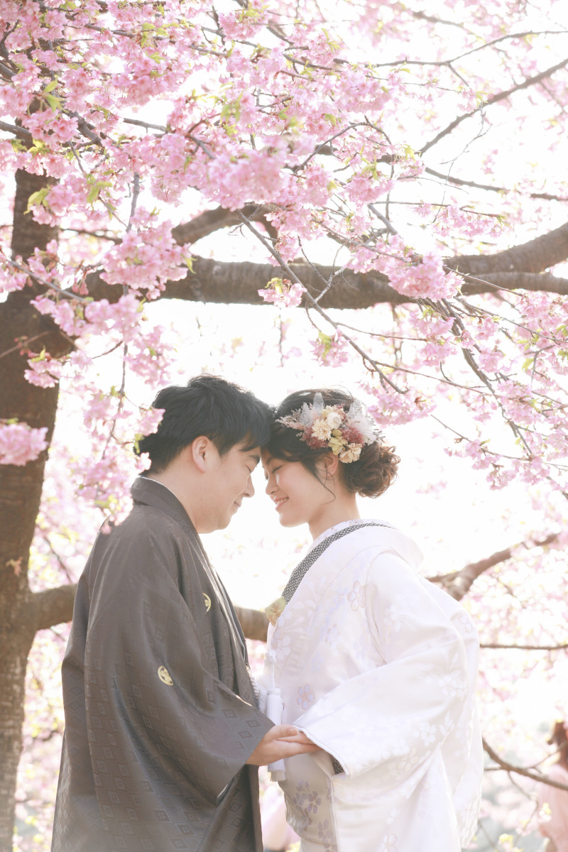 透ける日差しの中で