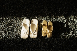 屋内庭園スタジオ