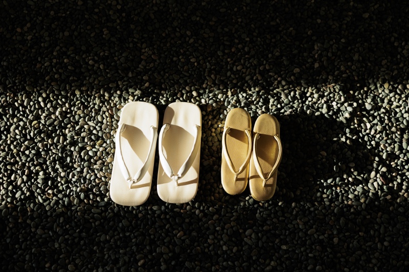 屋内庭園スタジオ