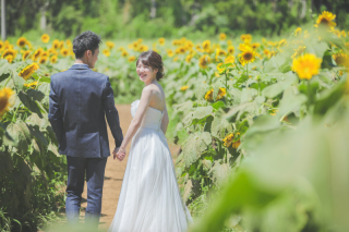 一生の夏の思い出♪ひまわり畑でのフォトウェディング