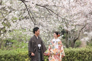 洗足池公園 桜ロケーション撮影