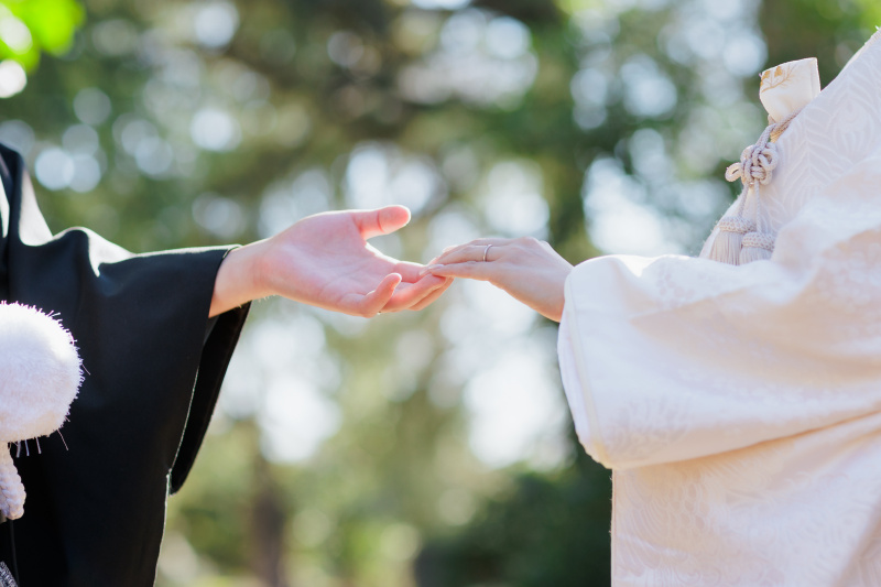 お手元のお写真も