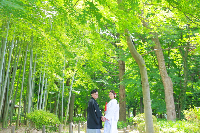 綺麗なもみじと