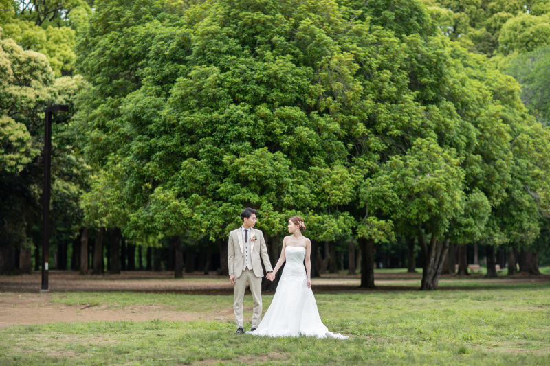 こんなお写真も